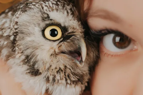 Casino Loco Win Soporte